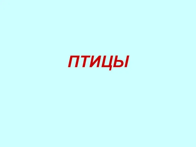 ПТИЦЫ