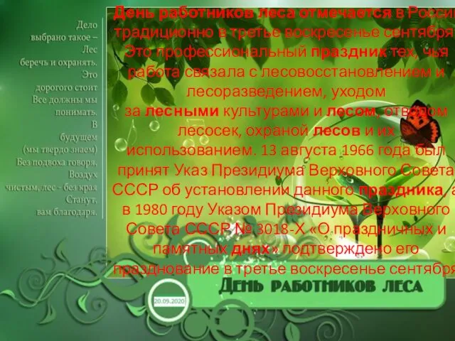 День работников леса отмечается в России традиционно в третье воскресенье сентября.