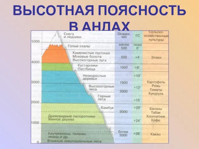 ВЫСОТНАЯ ПОЯСНОСТЬ В АНДАХ