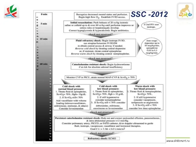 «Сепсис у детей» ДРКБ МЗ РТ | www.drkbmzrt.ru SSC -2012