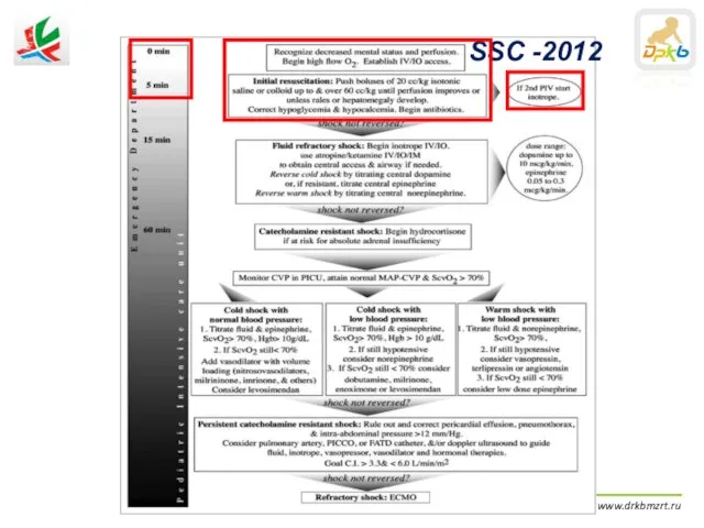 «Сепсис у детей» ДРКБ МЗ РТ | www.drkbmzrt.ru SSC -2012