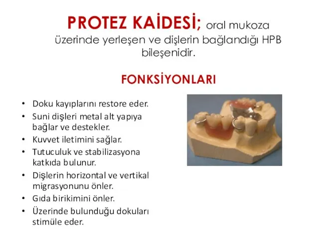 PROTEZ KAİDESİ; oral mukoza üzerinde yerleşen ve dişlerin bağlandığı HPB bileşenidir.