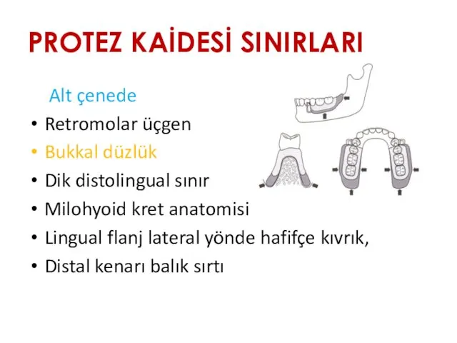 PROTEZ KAİDESİ SINIRLARI Alt çenede Retromolar üçgen Bukkal düzlük Dik distolingual