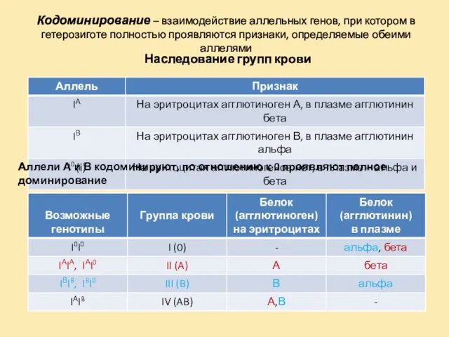 Кодоминирование – взаимодействие аллельных генов, при котором в гетерозиготе полностью проявляются