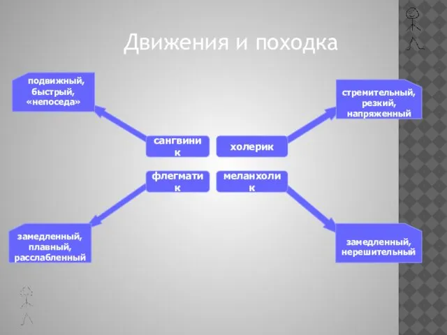 Движения и походка сангвиник холерик флегматик меланхолик стремительный, резкий, напряженный подвижный,