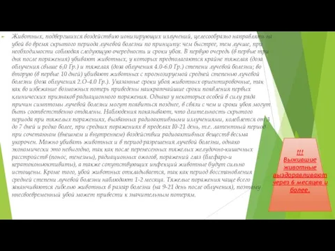 Животных, подвергшихся воздействию ионизирующих излучений, целесообразно направлять на убой во время