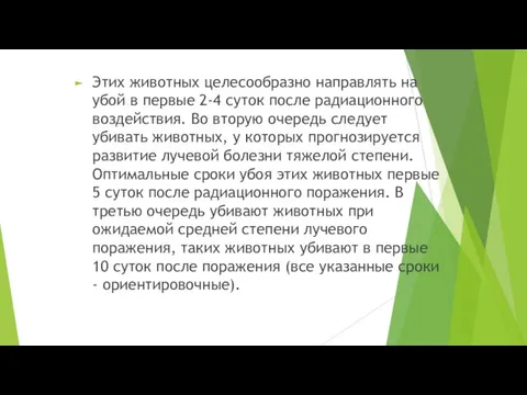 Этих животных целесообразно направлять на убой в первые 2-4 суток после