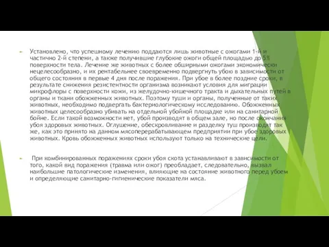 Установлено, что успешному лечению поддаются лишь животные с ожогами 1-й и