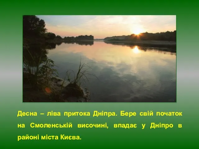 Десна – ліва притока Дніпра. Бере свій початок на Смоленській височині,