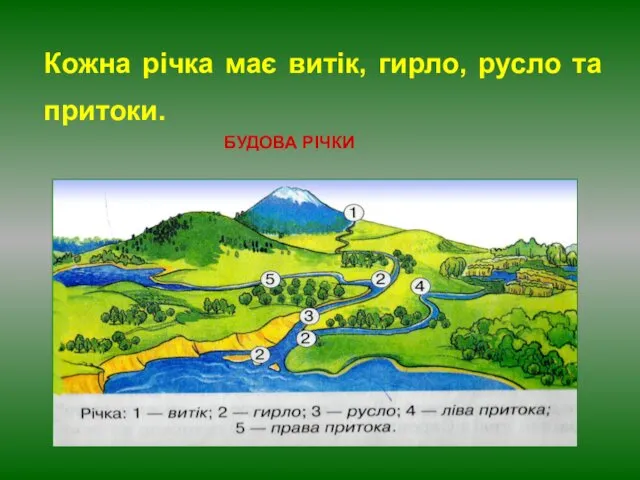 БУДОВА РІЧКИ Кожна річка має витік, гирло, русло та притоки.