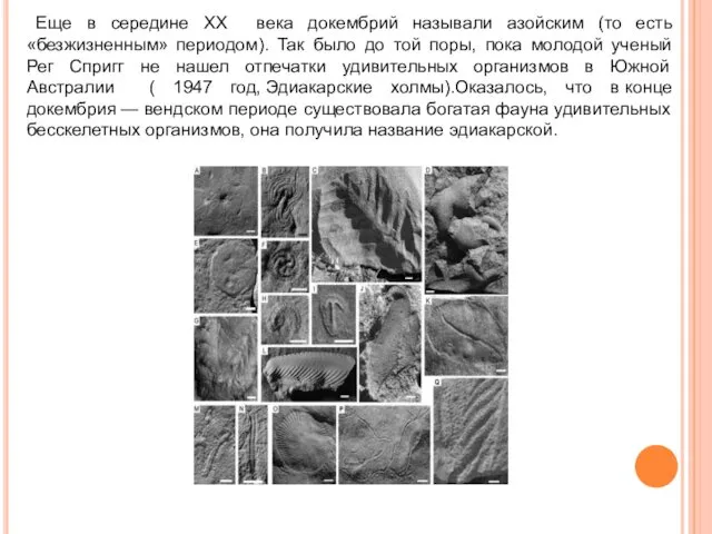 Еще в середине XX века докембрий называли азойским (то есть «безжизненным»