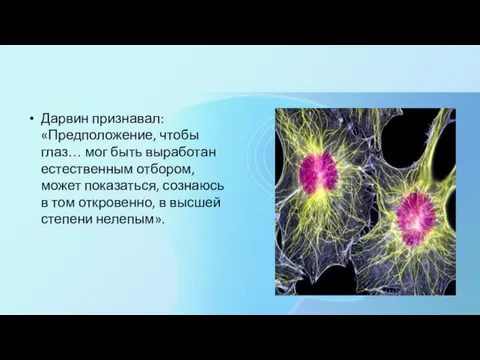 Дарвин признавал: «Предположение, чтобы глаз… мог быть выработан естественным отбором, может