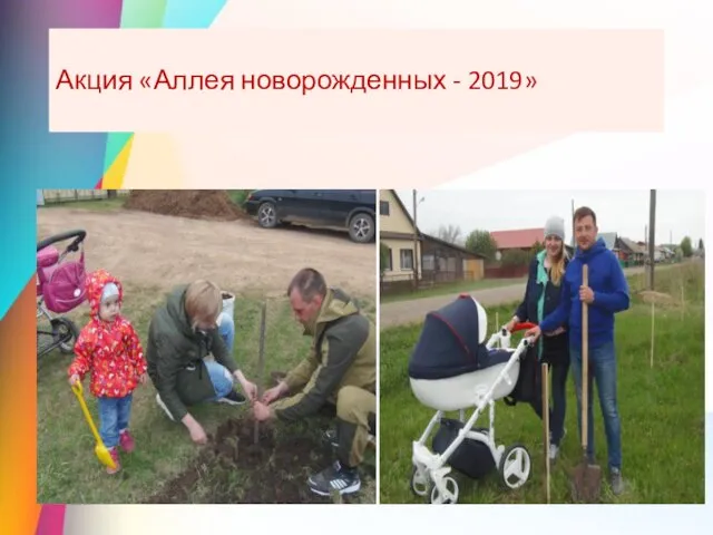 Акция «Аллея новорожденных - 2019»