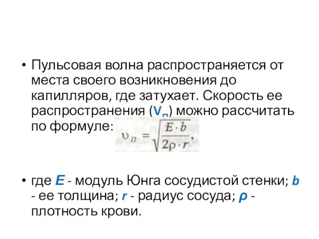 Пульсовая волна распространяется от места своего возникновения до капилляров, где затухает.