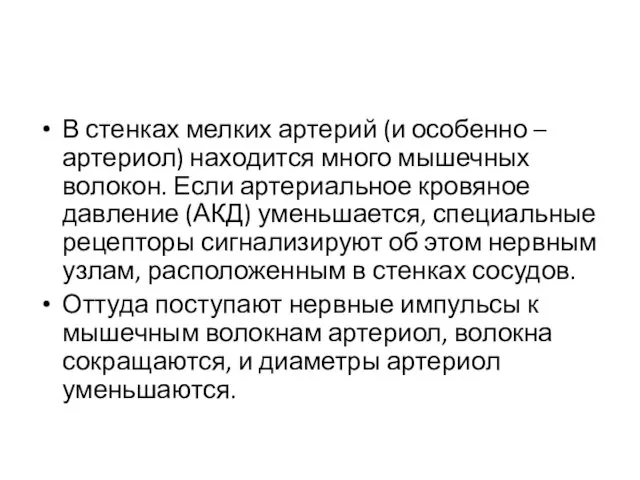 В стенках мелких артерий (и особенно – артериол) находится много мышечных