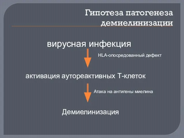 Гипотеза патогенеза демиелинизации вирусная инфекция активация аутореактивных Т-клеток Атака на антигены миелина Демиелинизация HLA-опосредованный дефект