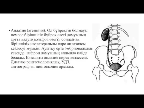 Аплазия (агенезия). Ол бүйректің болмауы немесе біріншілік бүйрек өзегі дамуының артта