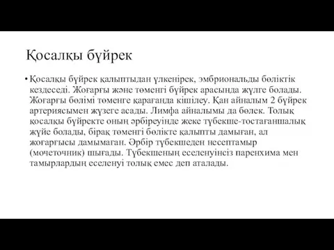 Қосалқы бүйрек Қосалқы бүйрек қалыптыдан үлкенірек, эмбриональды бөліктік кездеседі. Жоғарғы және