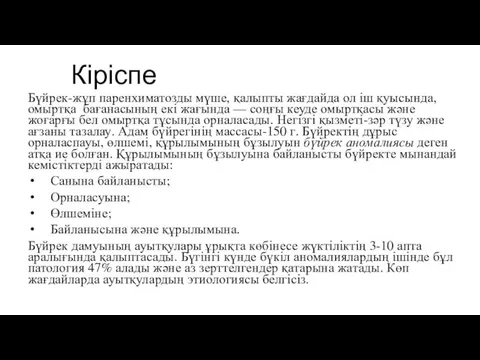 Кіріспе Бүйрек-жұп паренхиматозды мүше, қалыпты жағдайда ол іш қуысында, омыртқа бағанасының