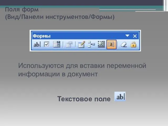 Поля форм (Вид/Панели инструментов/Формы) Используются для вставки переменной информации в документ Текстовое поле