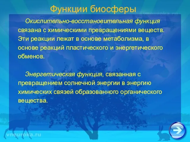 Функции биосферы Окислительно-восстановительная функция связана с химическими превращениями веществ. Эти реакции