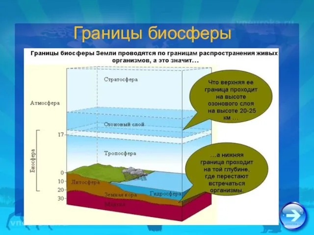 Границы биосферы