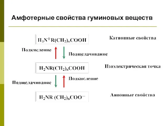 Амфотерные свойства гуминовых веществ