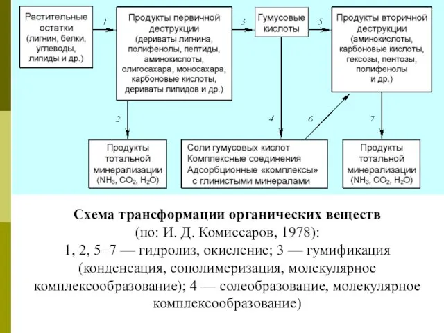 Схема трансформации органических веществ (по: И. Д. Комиссаров, 1978): 1, 2,