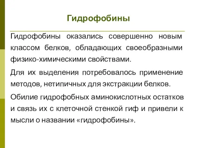 Гидрофобины Гидрофобины оказались совершенно новым классом белков, обладающих своеобразными физико-химическими свойствами.