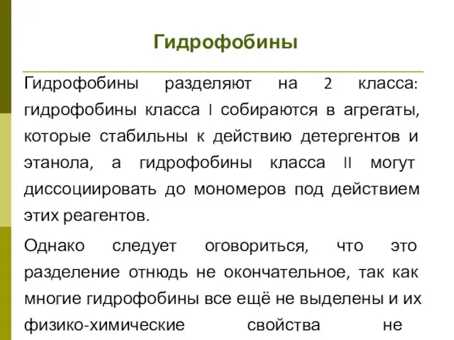 Гидрофобины Гидрофобины разделяют на 2 класса: гидрофобины класса I собираются в