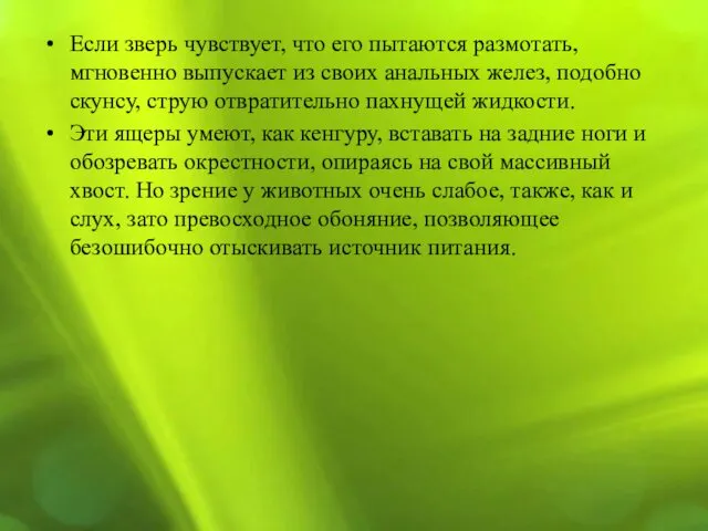 Если зверь чувствует, что его пытаются размотать, мгновенно выпускает из своих