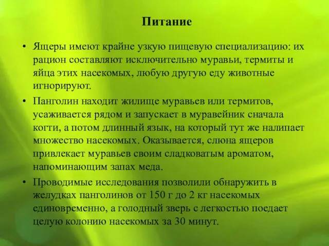 Ящеры имеют крайне узкую пищевую специализацию: их рацион составляют исключительно муравьи,