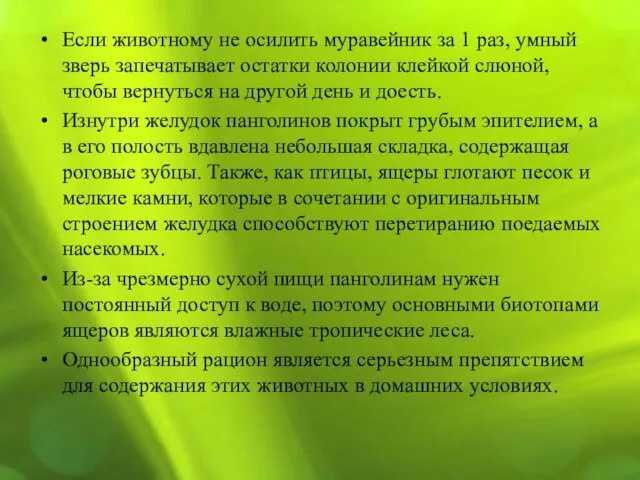 Если животному не осилить муравейник за 1 раз, умный зверь запечатывает