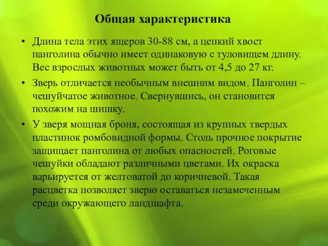 Общая характеристика Длина тела этих ящеров 30-88 см, а цепкий хвост