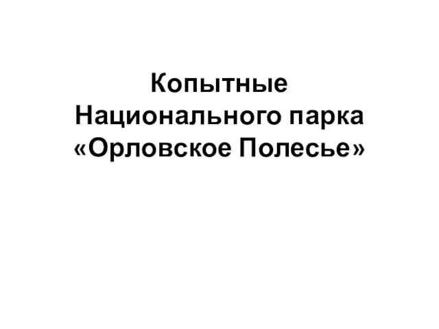 Копытные Национального парка «Орловское Полесье»