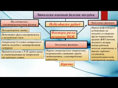 Этиология язвенной болезни желудка. Наследственно-конституциональный фактор Экзогенные факторы Эндогенные факторы Принадлежность