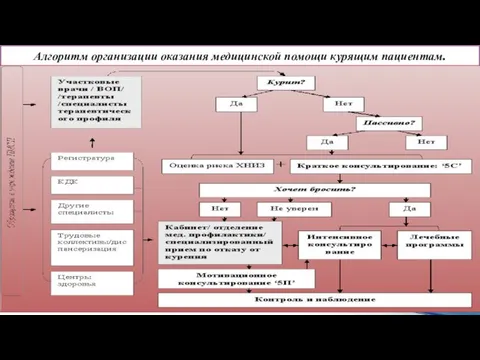 Алгоритм организации оказания медицинской помощи курящим пациентам.