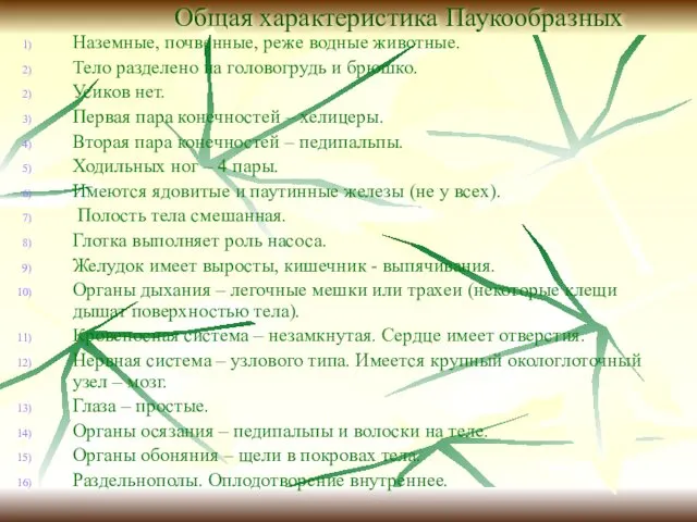 Общая характеристика Паукообразных Наземные, почвенные, реже водные животные. Тело разделено на