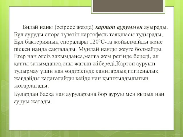 Бидай наны (әсіресе жазда) картоп ауруымен ауырады.Бұл ауруды спора түзетін картофель