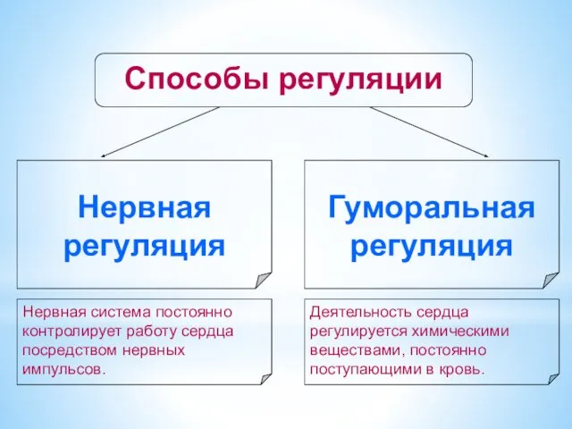 Способы регуляции