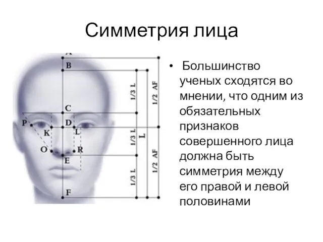 Симметрия лица Большинство ученых сходятся во мнении, что одним из обязательных