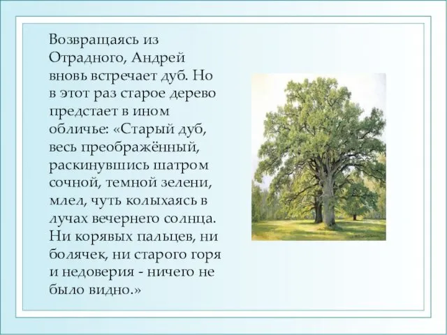 Возвращаясь из Отрадного, Андрей вновь встречает дуб. Но в этот раз