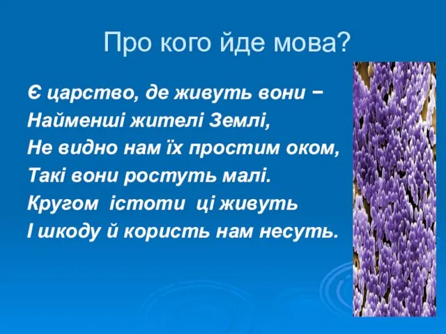 Про кого йде мова? Є царство, де живуть вони − Найменші