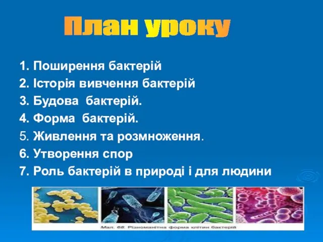 1. Поширення бактерій 2. Історія вивчення бактерій 3. Будова бактерій. 4.