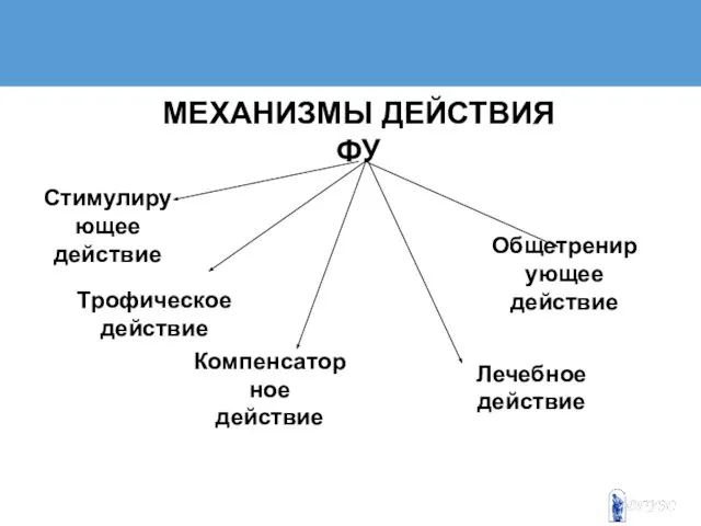 МЕХАНИЗМЫ ДЕЙСТВИЯ ФУ Стимулирующее действие Трофическое действие Компенсаторное действие Лечебное действие Общетренирующее действие