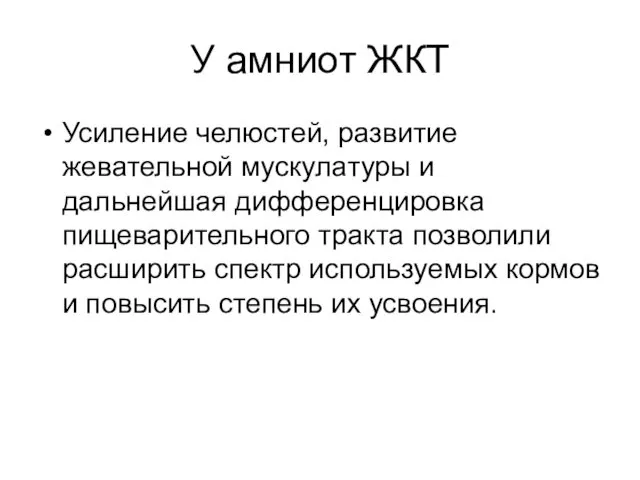 У амниот ЖКТ Усиление челюстей, развитие жевательной мускулатуры и дальнейшая дифференцировка