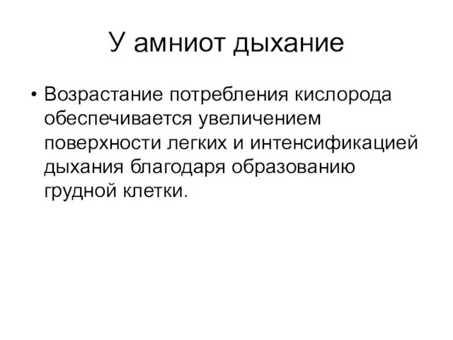 У амниот дыхание Возрастание потребления кислорода обеспечивается увеличением поверхности легких и