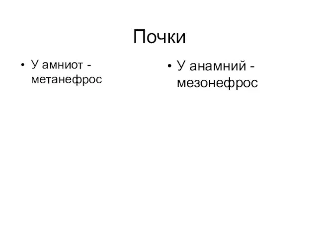 Почки У амниот - метанефрос У анамний - мезонефрос