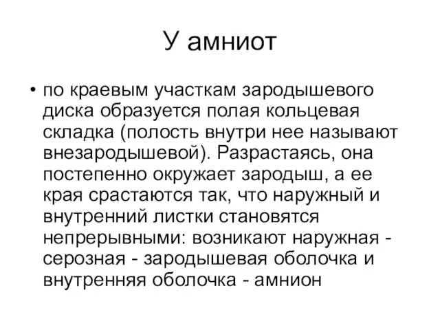 У амниот по краевым участкам зародышевого диска образуется полая кольцевая складка