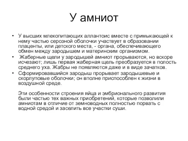 У амниот У высших млекопитающих аллантоис вместе с примыкающей к нему